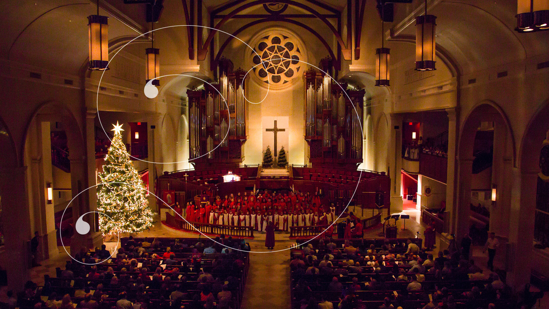 The Great Tree Lighting